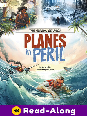 cover image of Planes in Peril
